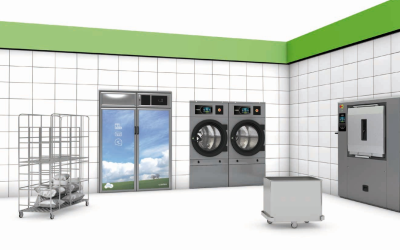 Ozone Cabinets: What Are They & Why Your Business Needs One